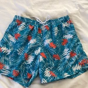 Chubbies Swim Trunks